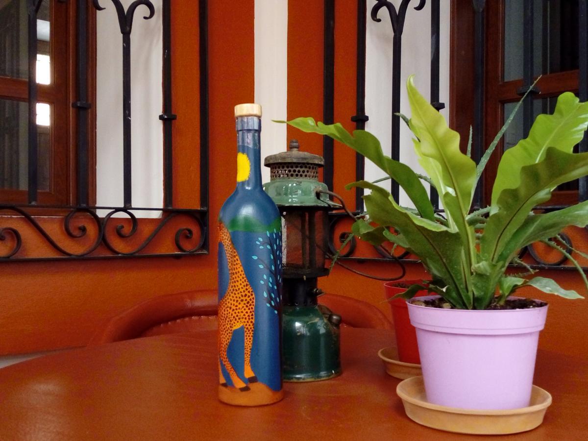 Casa Agave Oaxaca Bed & Breakfast Екстериор снимка