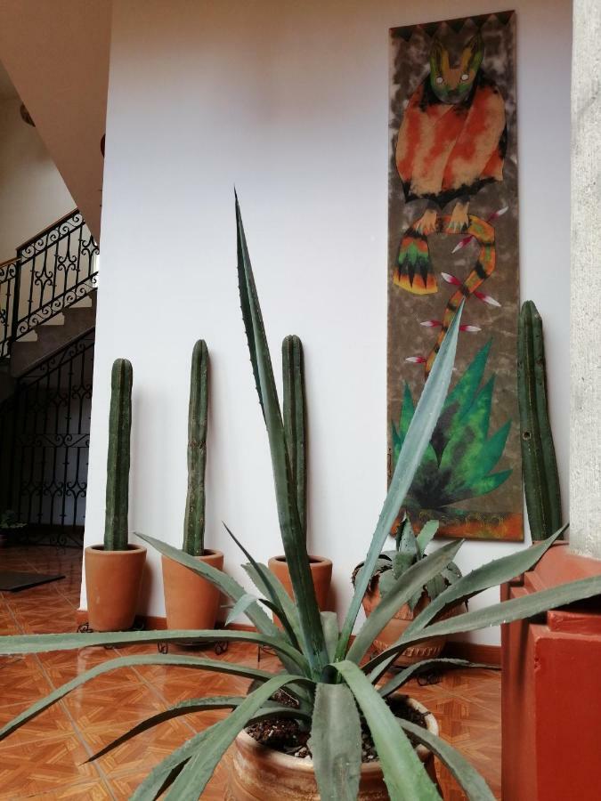 Casa Agave Oaxaca Bed & Breakfast Екстериор снимка