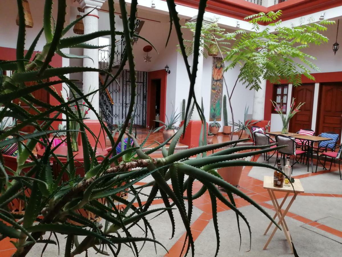 Casa Agave Oaxaca Bed & Breakfast Екстериор снимка